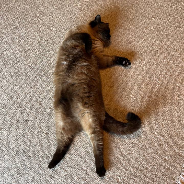 33104efb 6acd 4d09 9318 b385c844d9f1 1717419437954