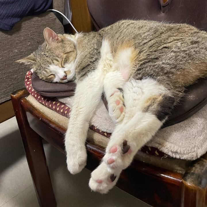 33106f50 4473 4c01 a7e6 5dc7208c690d 1754629607859