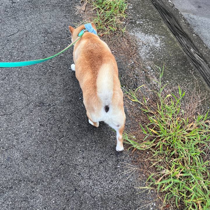 33108e72 716d 4031 8a47 b6c7f29f44dd 1723777462013