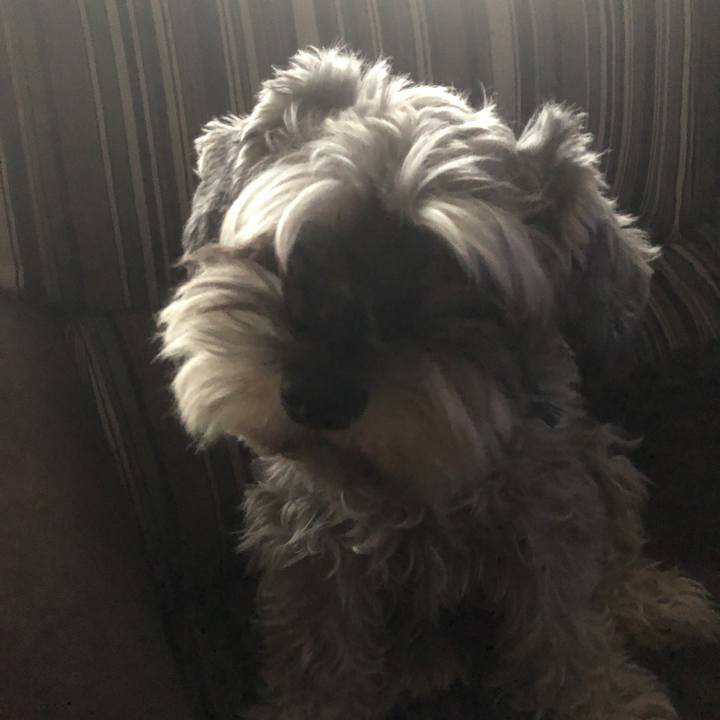 3310fb80 b8a6 47a3 85ce 1eeff40db506 1556693968783