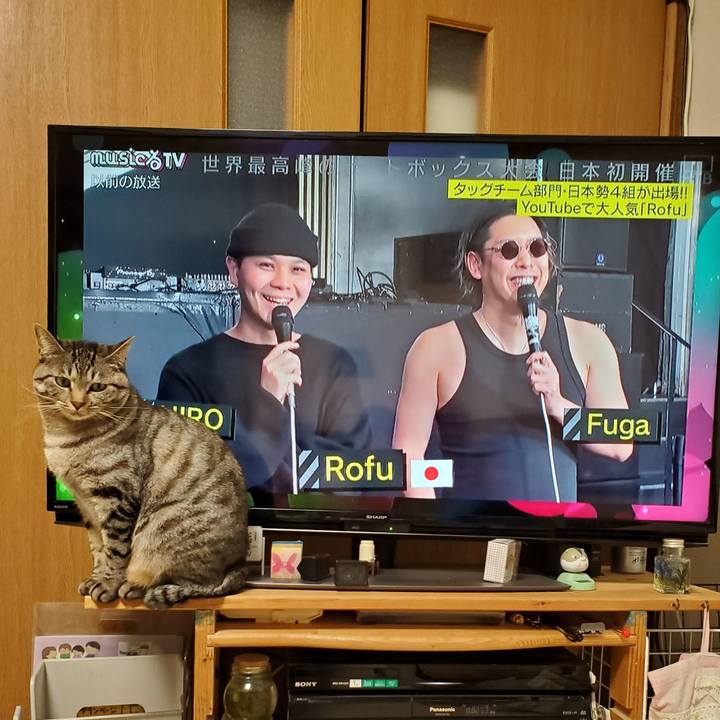 33112c6c e1f9 4503 bb9b d40fc8f92586 1705635019554