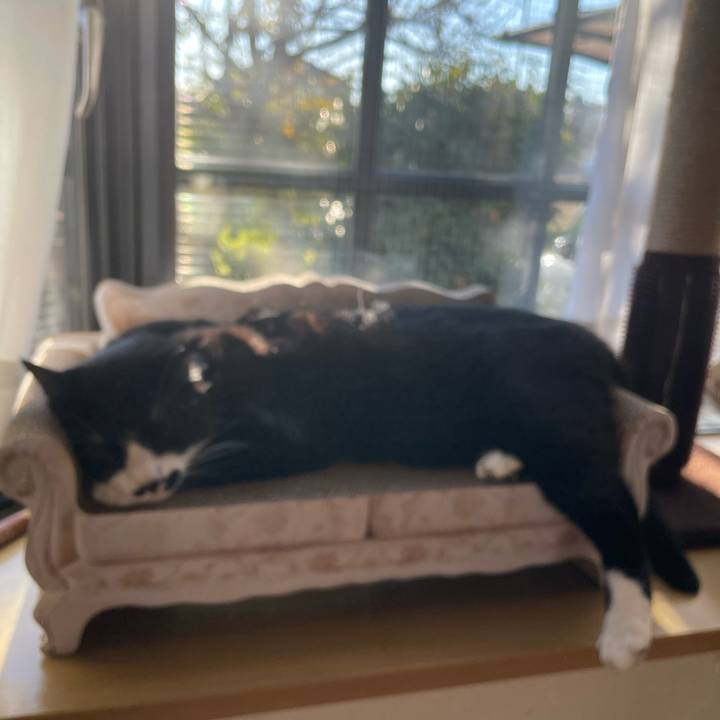 33114df7 e198 427b 9a50 a8eebe62340e 1672876064291