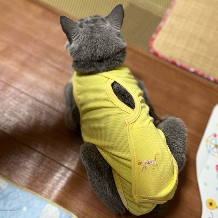 3311515d 731b 437a b767 72dcbb1ef465 1641994137500