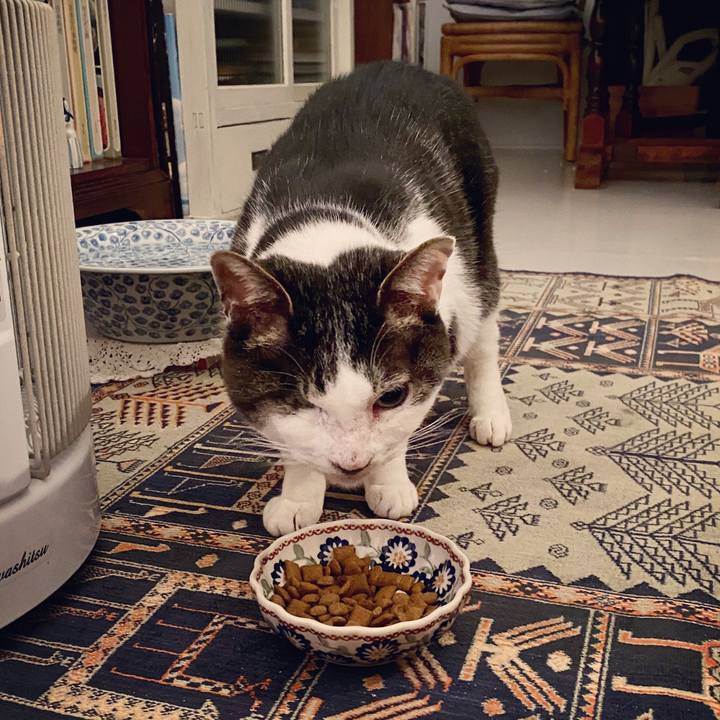 3311ad01 7e4f 4926 a565 cea9baa7a07a 1585233937530