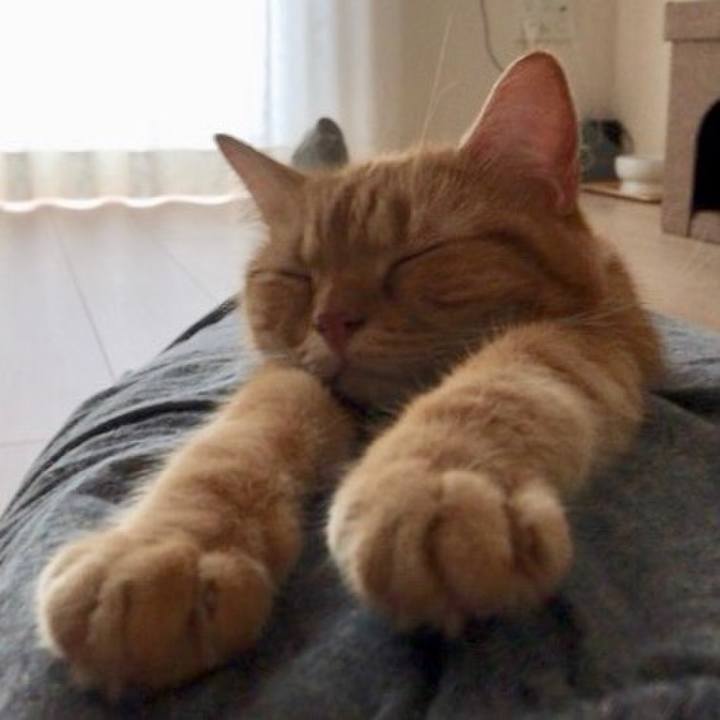 3311d432 b2aa 4206 b8c0 ab7ee0f573df 1538116036099