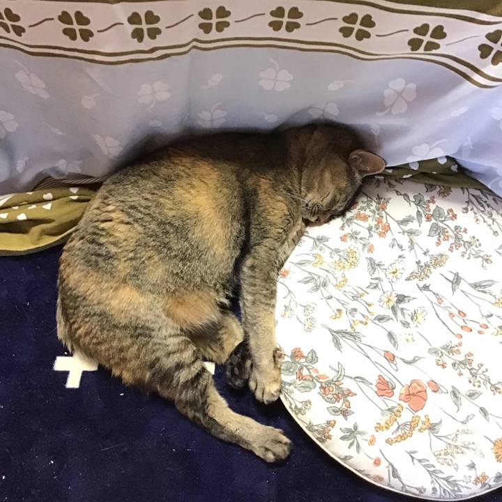 3311dbd1 33a3 44df be7b 58f83f580d13 1709555264960