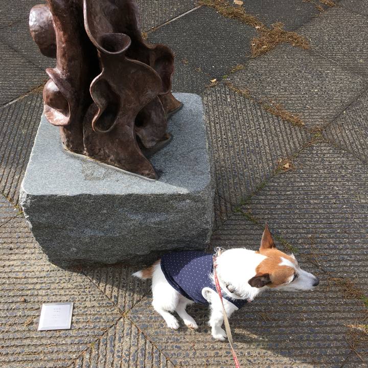 3312062e e23b 49f2 b2c7 d2a639e636e0 1587683981437