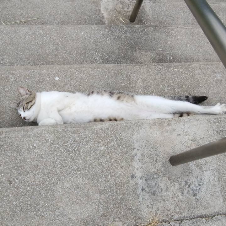 33124074 d185 4ccb a7a1 6ee62859a869 1527497547188