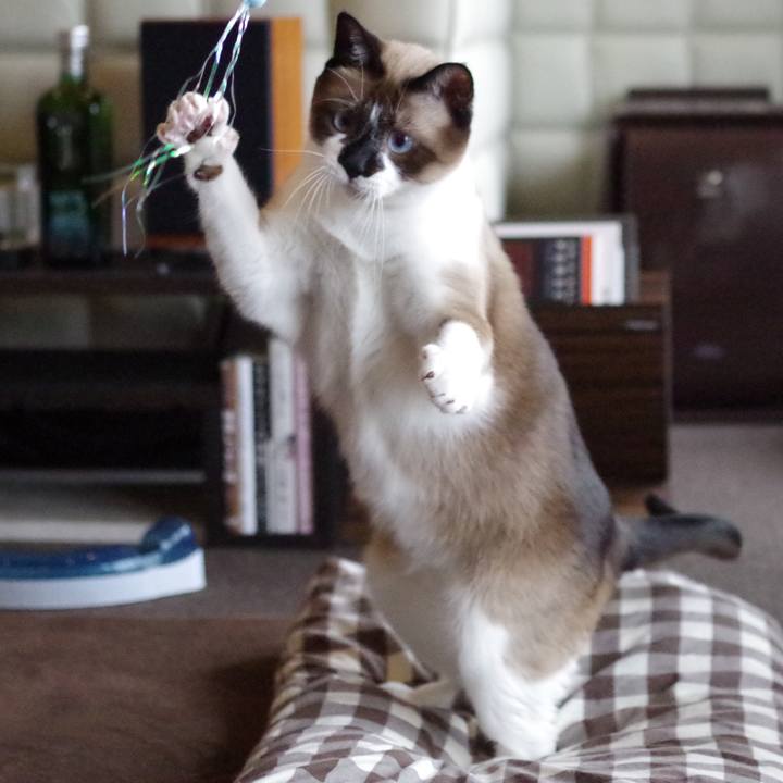 331266a8 8475 48fa ac03 f7231aba7afb 1519792993431