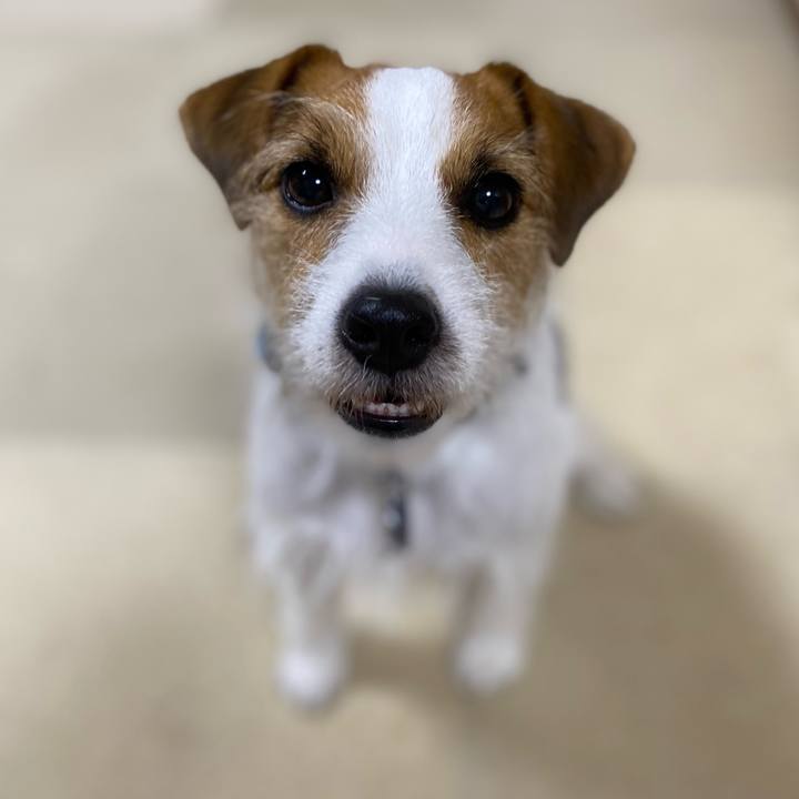 3312794d 3a26 42d9 9bce 2730c1180b2d 1696335026619