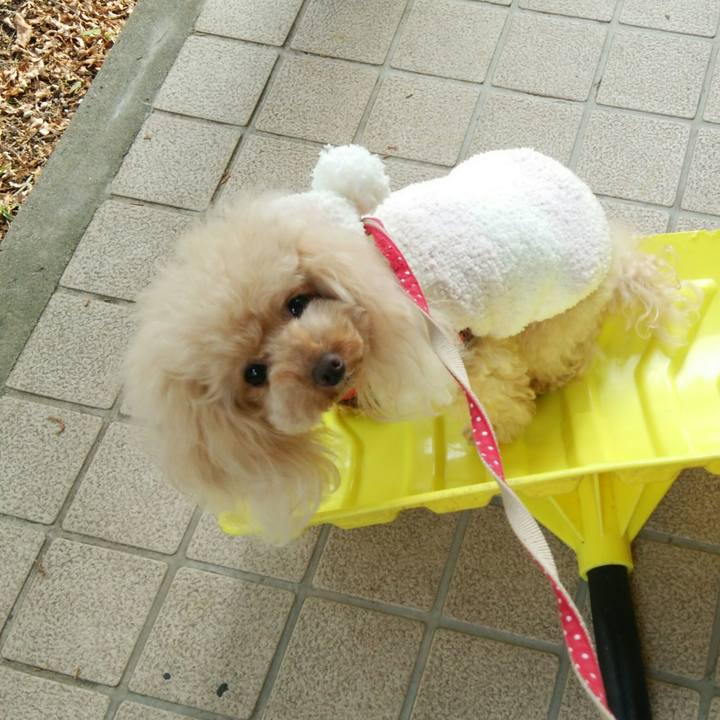 3312c97c 1467 405a 854b 3f8c7d7bc67a 1547120721143