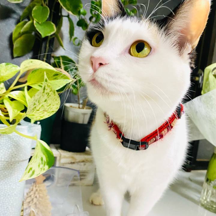 3312cc57 e253 48f7 ae31 efd0b3c22331 1701168697400