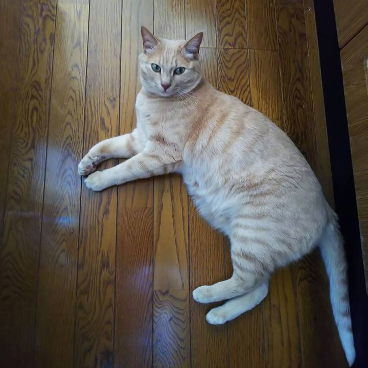 3312f902 5c0d 46ac a7c8 7c9fbedee250 1622860293842