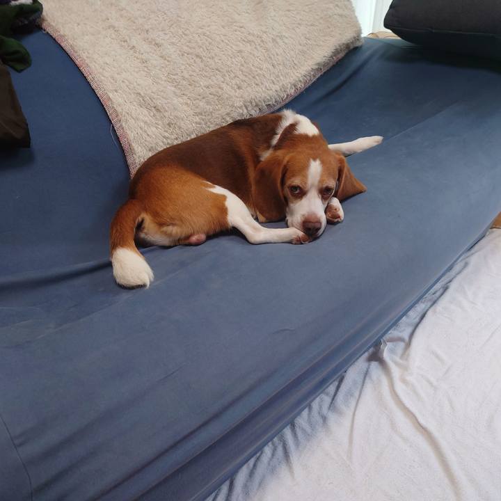 33130f52 0523 43ba 8ac6 51e814d26f1c 1663912899741