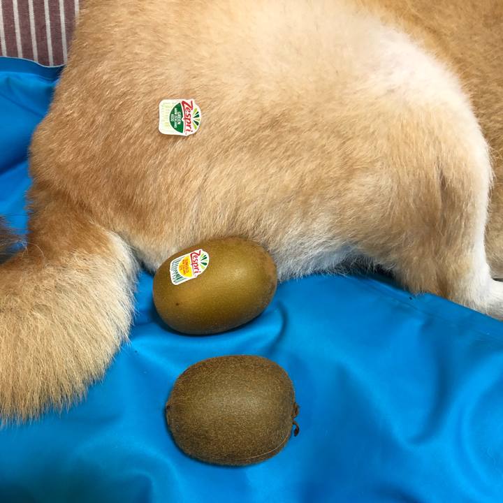 3313126f dfeb 4479 8ff9 0e59f49a8c4e 1597899104830