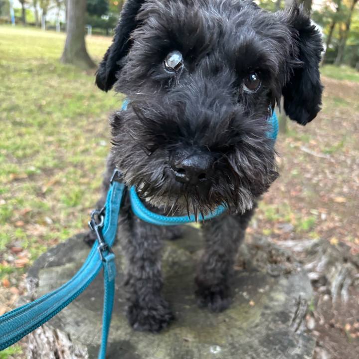 33133ccd e8b3 4dec 99b4 e003a5541cb6 1699083806970