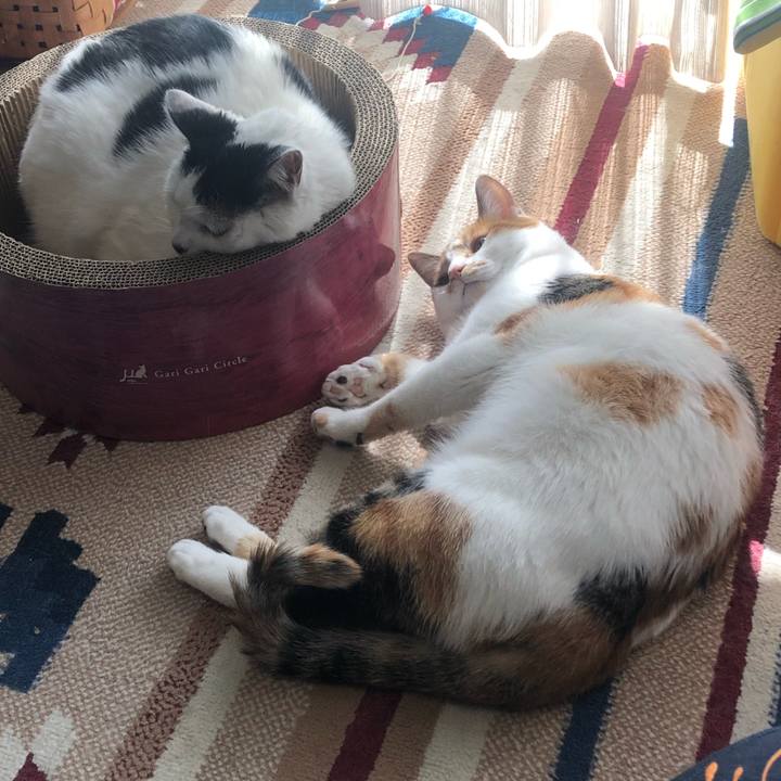 33137587 00a7 4142 b227 8da8b57c125e 1586867459578