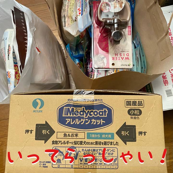 331375ec 99e4 41bd b31a 1311c01f8e0e 1678154459669