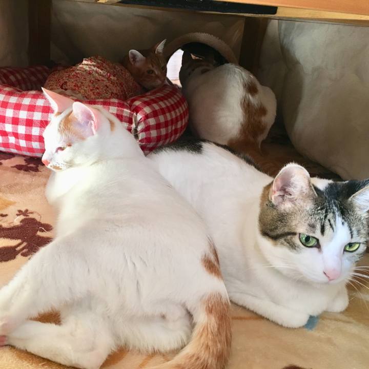 33139176 7544 4342 bfb4 9ca0e425557d 1517029053568