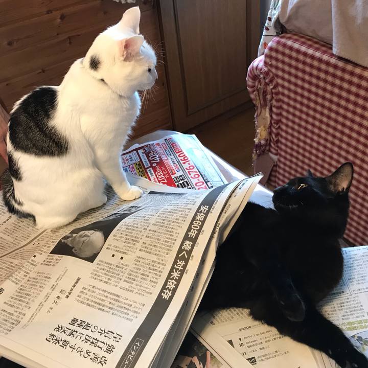 33139c54 eb60 45c3 91b1 3a22fbe74f17 1591998481722