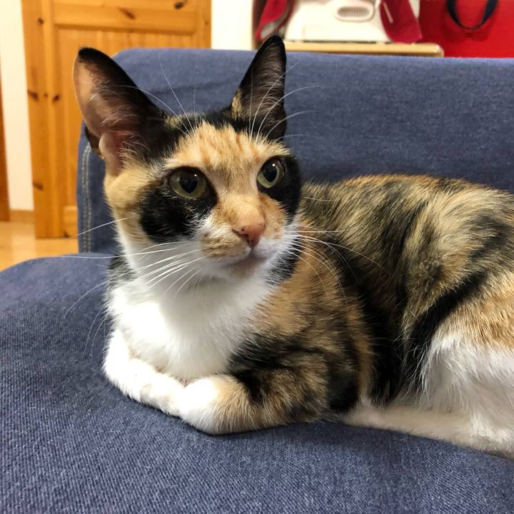 3313af97 b29e 4fb9 95de c9b50352f2d5 1551912460478