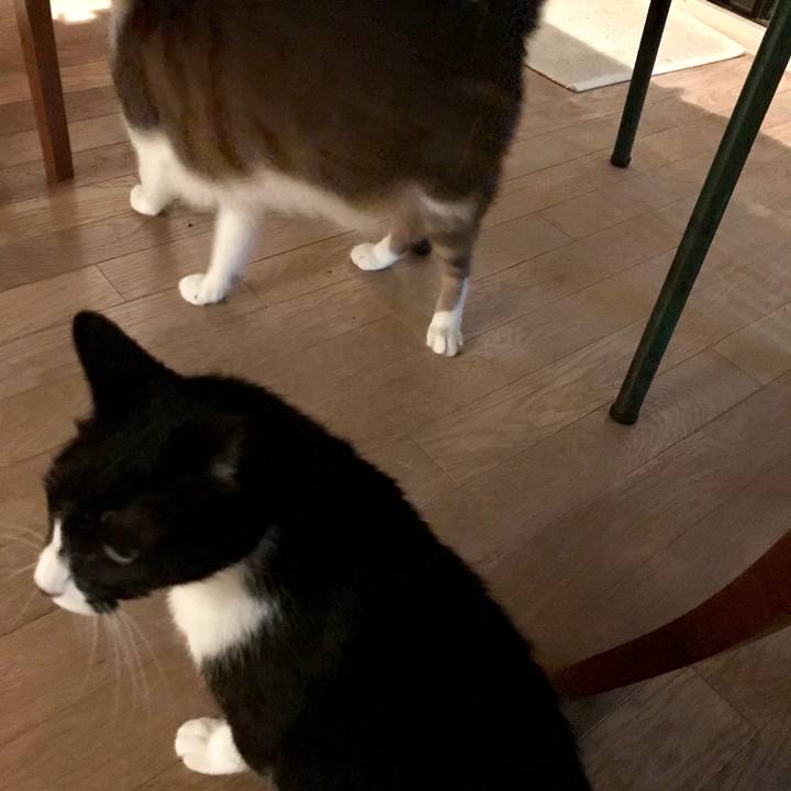 3313e6b4 f774 4ba1 8dc5 acadb43abb34 1521262796982