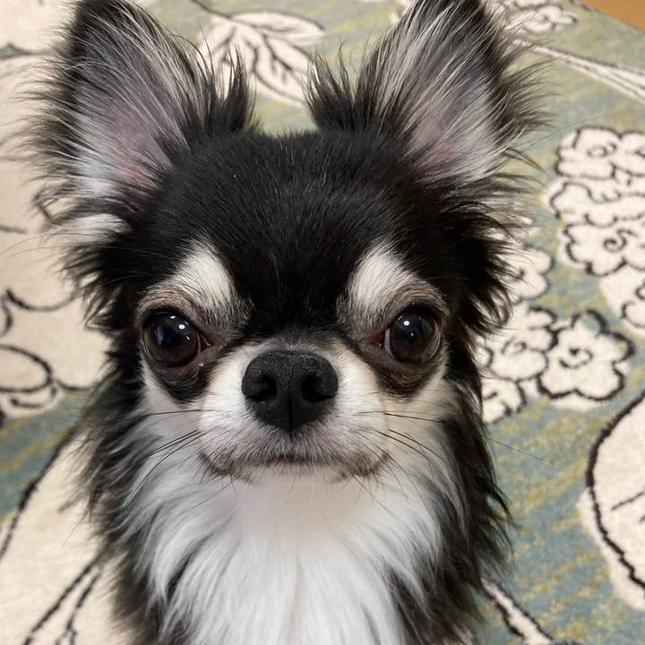 3313e7b0 ca62 4440 b3c1 987228a7a00f 1625267122686