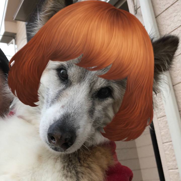 3313eaca 95f6 4790 8b4f 690583e8bb64 1547635182753