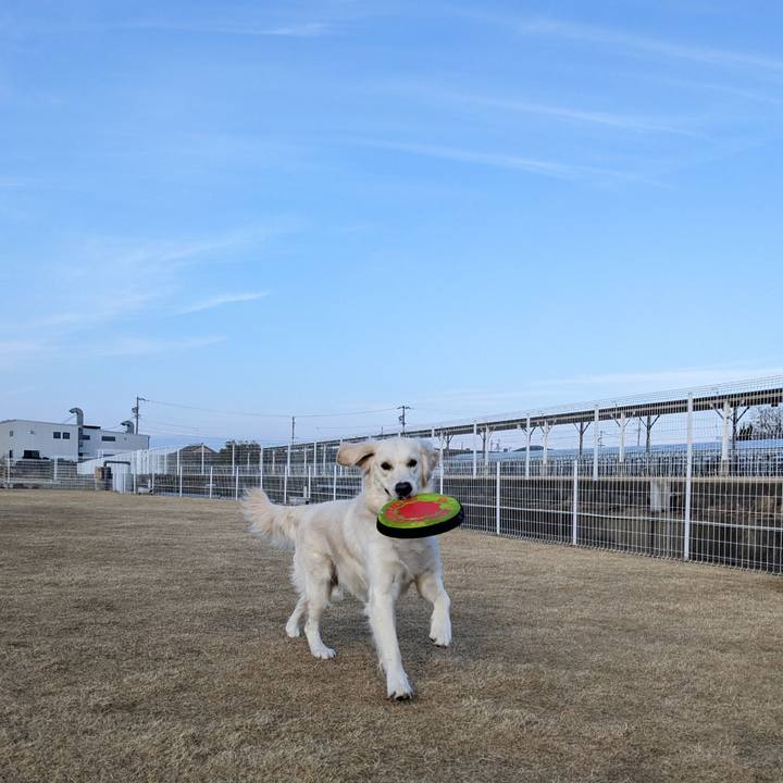 33140222 2576 4e38 be81 19de548cc439 1767054445011