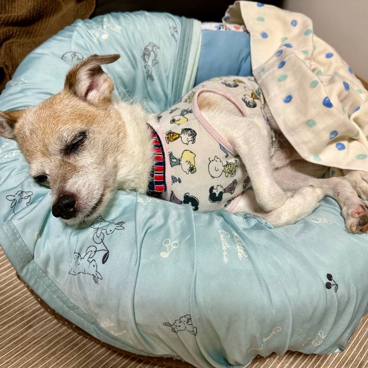 331442f7 6f8c 441d 9d11 6e00f24a8497 1693049315241