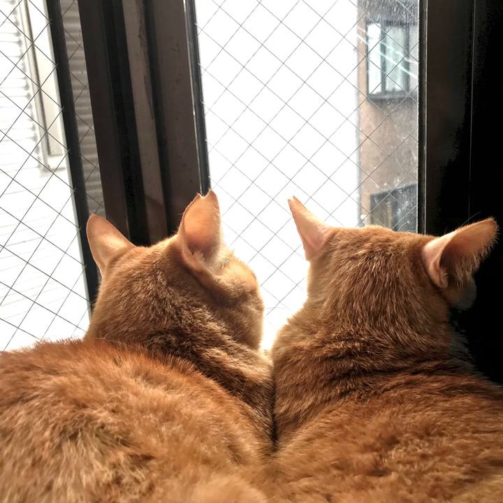 33144569 3115 4d74 8d03 bfbab5aba3d0 1590193418126