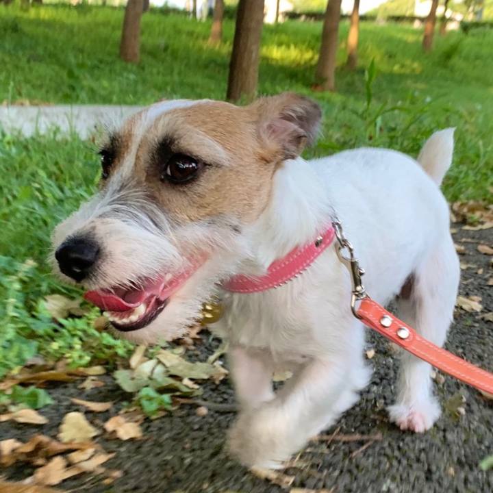 33145d00 25af 4390 8823 b046fe5d3167 1597229429256