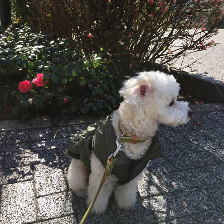 331485ee f5b1 4187 8e0a de26c8ce691b 1515729441086