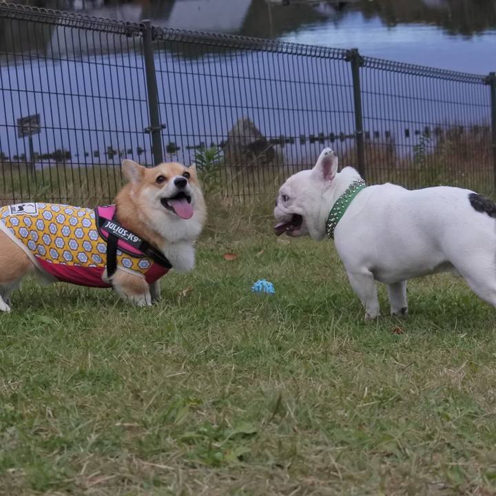 33149283 1b7b 4687 a2a6 9bb4406d1c0d 1602976327660