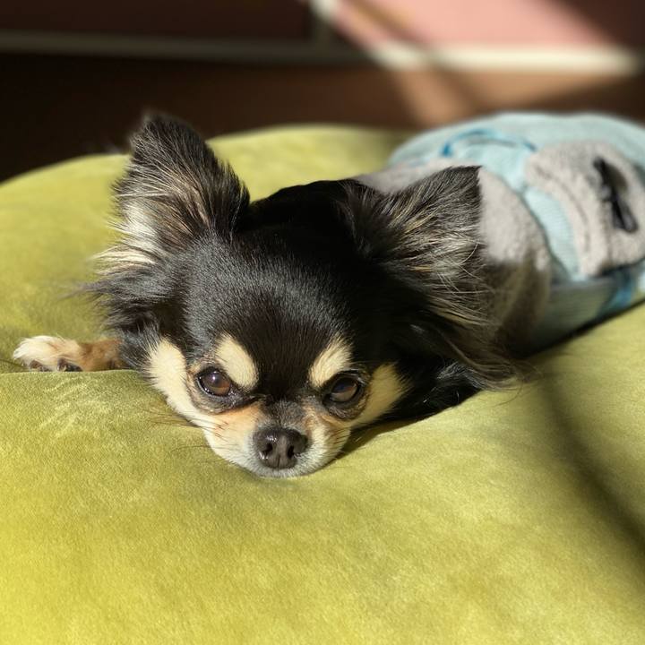 3314f9a2 ea71 429c a6ac af2c4bbe95e7 1611106732768