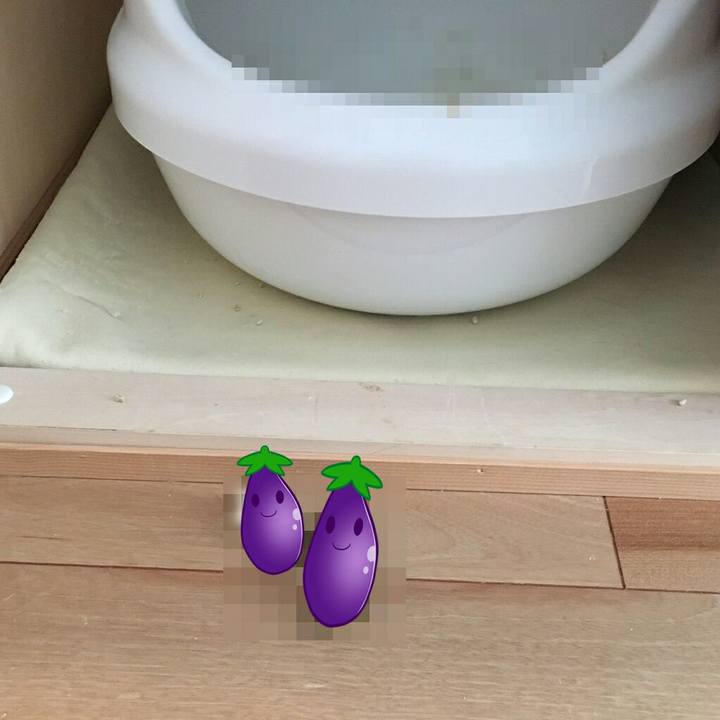 331503e7 3251 4d36 a91b 3457fd96e99f 1508148025191