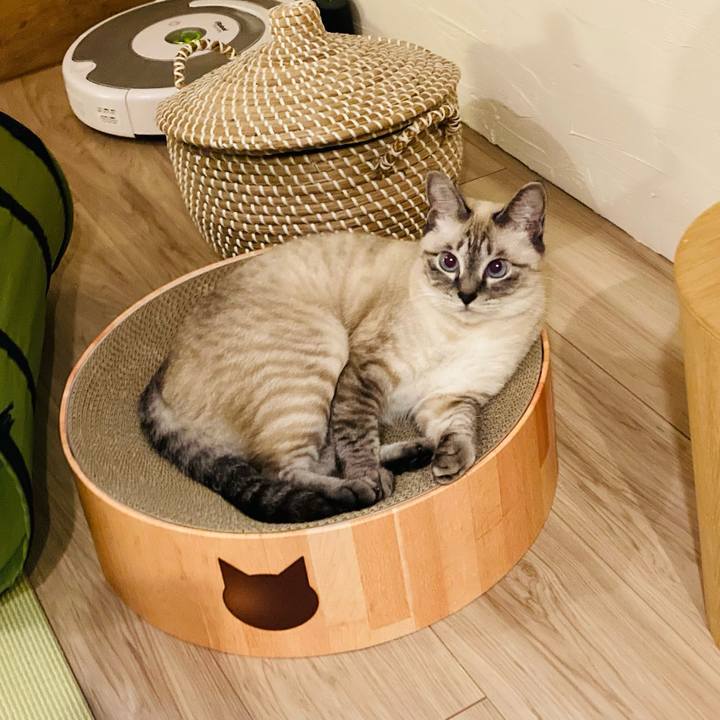 33154e56 f77f 40f8 b782 9d43c745f22a 1632905179965