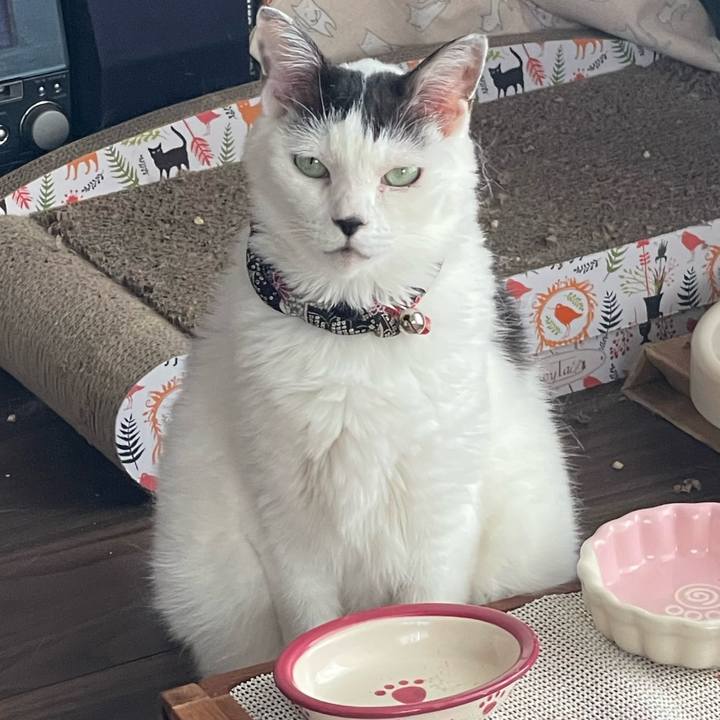 331568a9 c1f3 4dc3 9b74 ea20f646c592 1724553111970