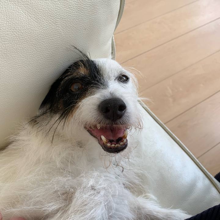 3315721b 93fa 4e2b a607 3ad4c8ca5556 1691975545415