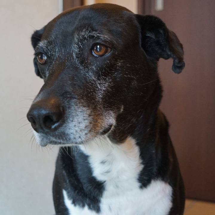 33157609 e5d7 4969 a7a8 8759079e967c 1763253207570