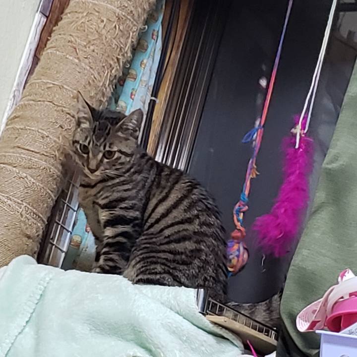 331585e8 04bf 4657 a132 094def2a6ab7 1542459966462