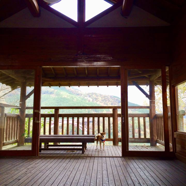 33158b90 7b0c 44c4 b56b 8d0f71bfb640 1509878704226