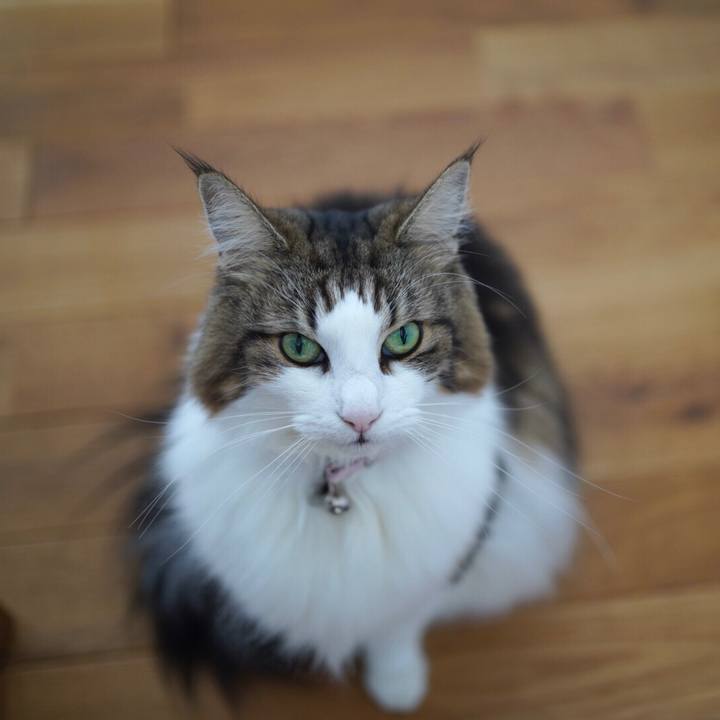 3315d93a 22d0 442a 85de 63b33dd8b2a1 1634993947397