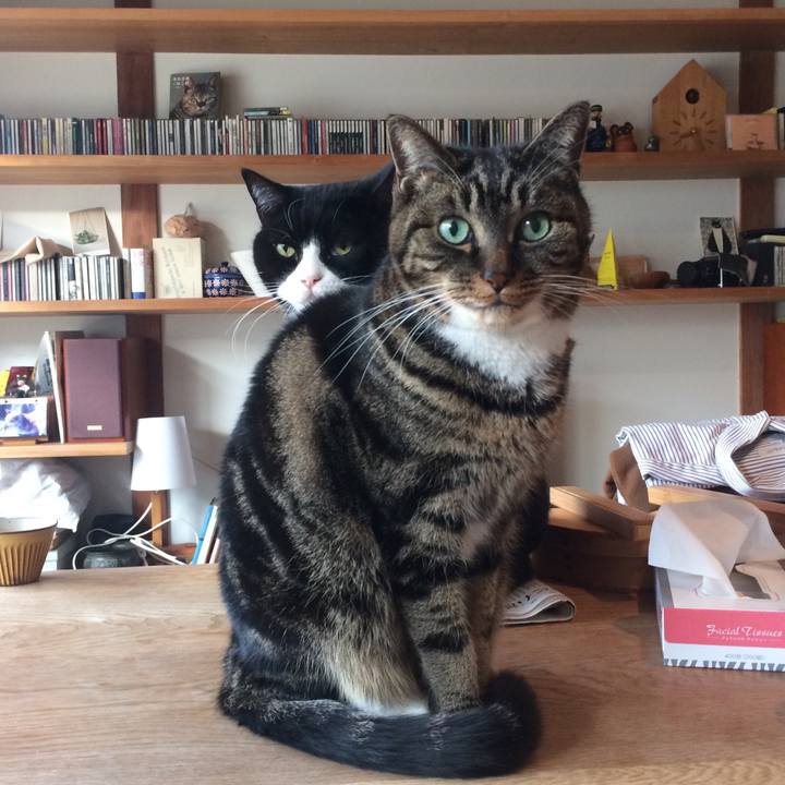 3315e808 b0b1 449c 95c8 68a8bfbac365 1516412713512