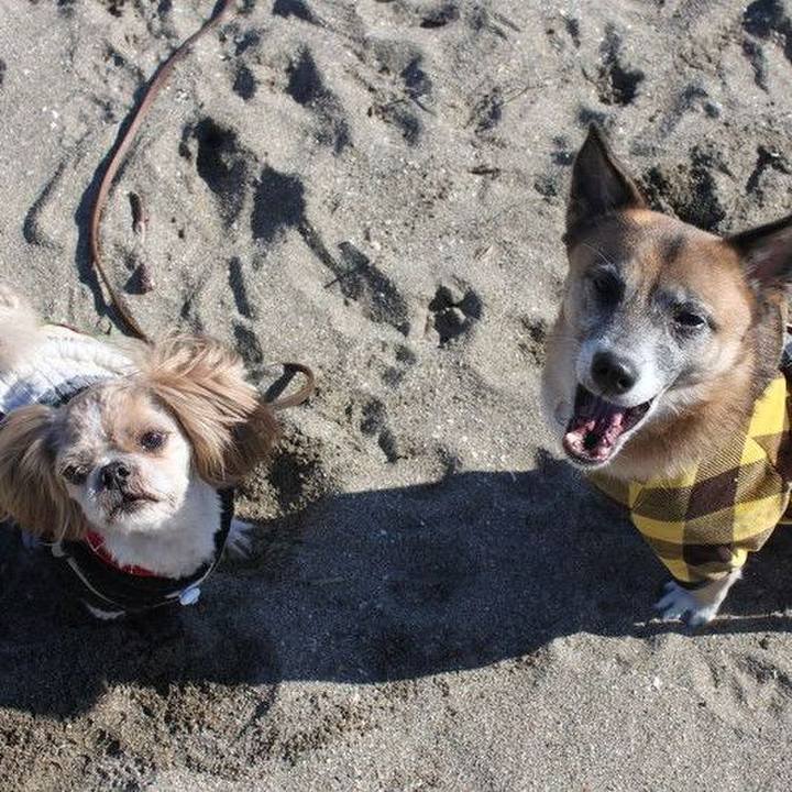 33161266 7792 4d3a b761 27fc9c893be3 1544157401691