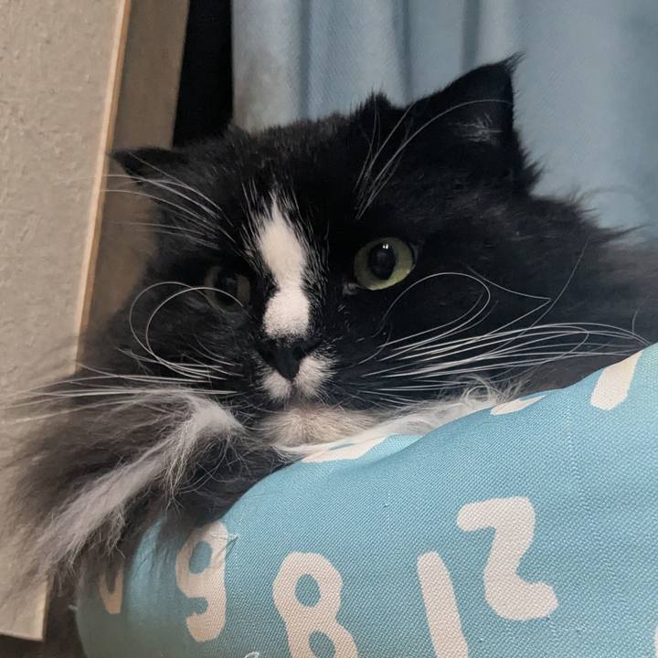 33163aad 389d 492b aeca 6821a01cfb27 1763897439620