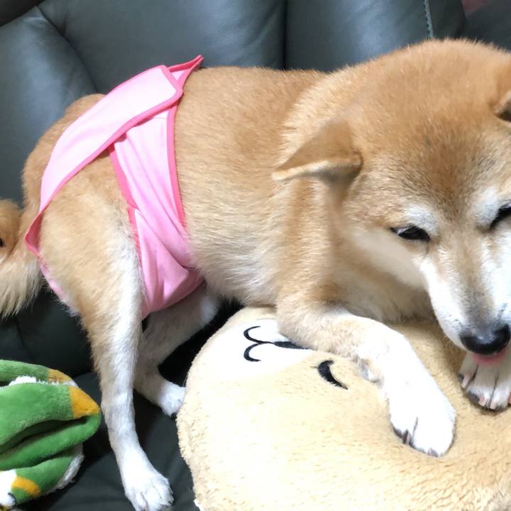 33164b55 dcd2 457e 874b 4912be818c07 1578282005707