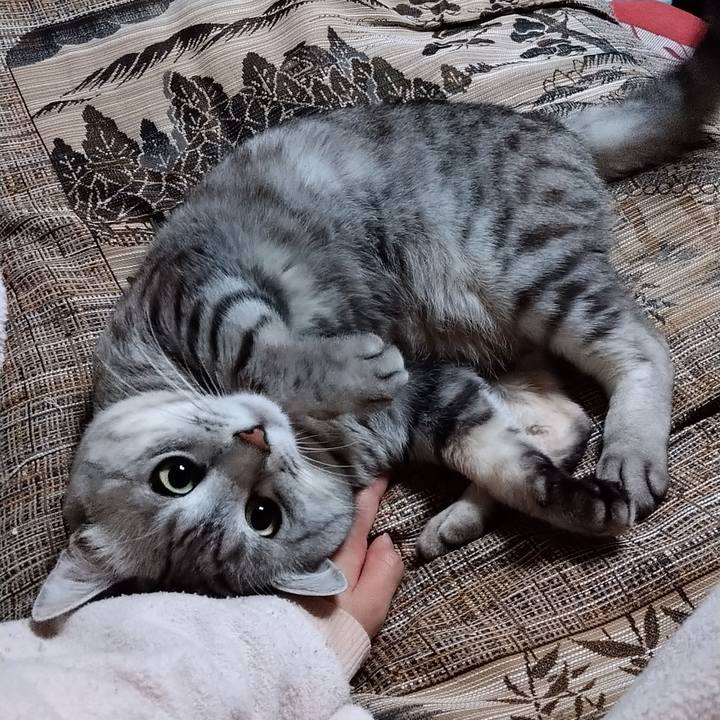 3316ddef d60e 4f49 925a 488b6e626fe6 1587821683109