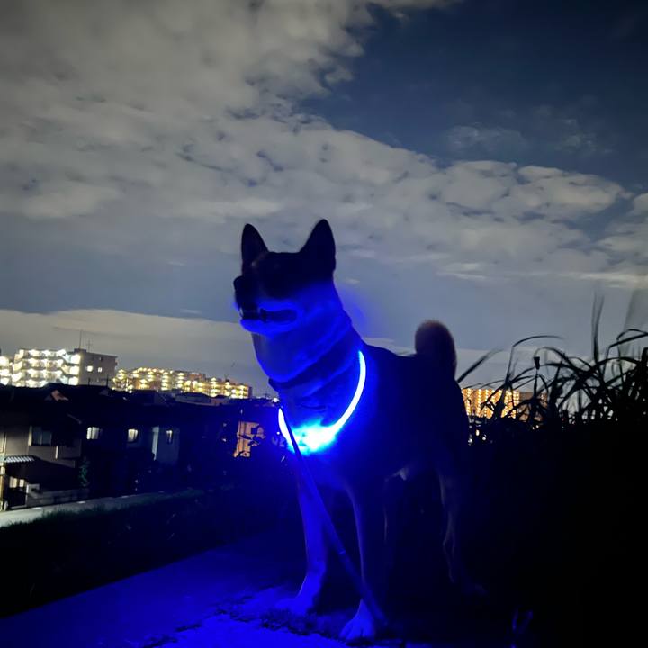 33171b82 5957 4754 bcb7 e5a840f4d512 1663772438104