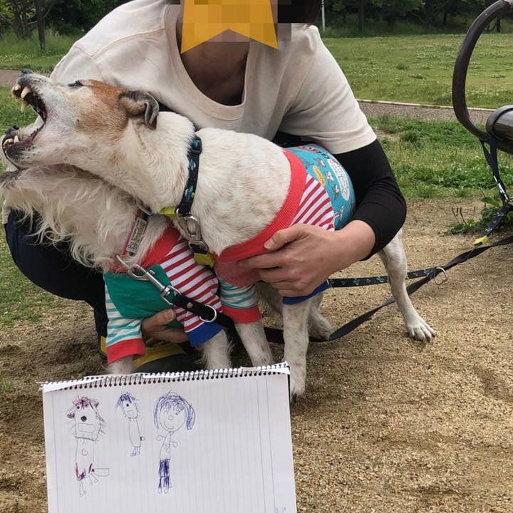 331741c1 1562 446f 82d5 45c2cdd87b3b 1526732830504